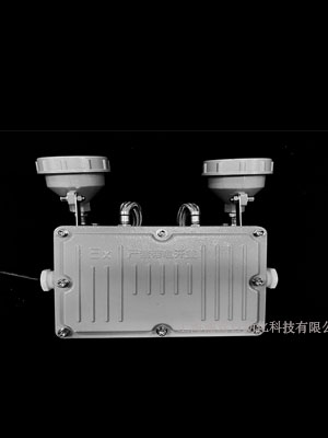 防爆型消防应急照明灯